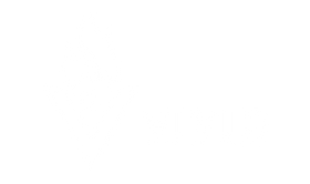 Vivid Heat